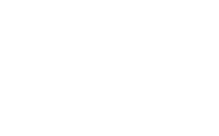 The Fellas Group